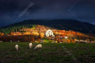 Urkiola with sheep in Basque Country