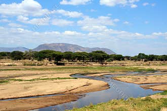 African landscape: Ruaha river in dry season