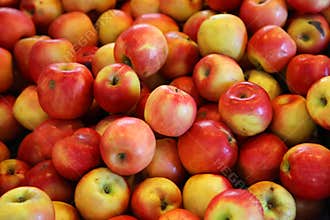 Red Apples