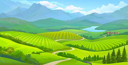 Rice fields and the farm house