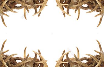 Deer Antler Border