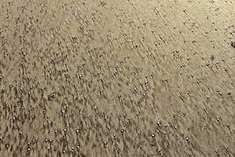 Sand Textures at the beach
