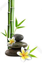 Flowers and stones