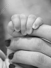 Baby and mother hands