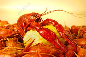 Crawfish Boil
