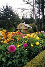 Shore Acres State Park, Oregon
