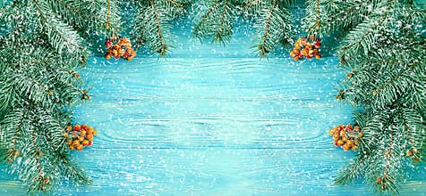 Christmas tree winter branch wintery greeting decorative season on blue wooden background, snow