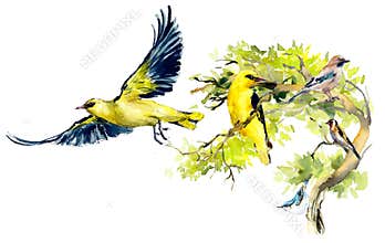 Birds background, frame. Decoration with wildlife scene. Hand drawn watercolor illustration