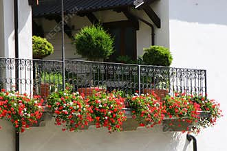 Hugely flowered balcony