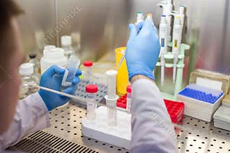 Laboratory work with plasmid DNA extraction