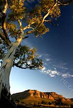 Beautiful Mountain Landscape