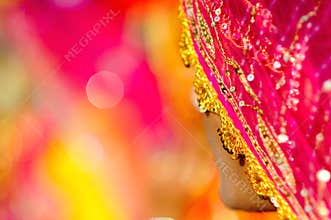 Indian Sari