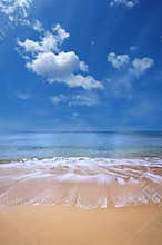 Gold beach