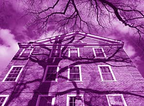 Purple Condominium Building