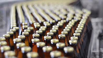 Conveyor belt of a brewery - beer bottles in production and bottling