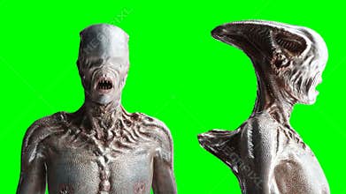 Scary, horror monster. Fear concept. Green screen isolate. Realistic 4K animation.