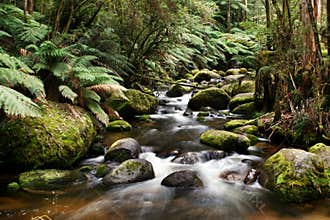 River Running over Mossy Rocks
