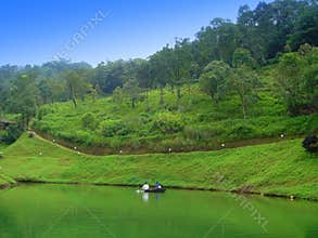 Wyanad forest in its pristine glory