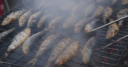 Grilled sardines on the fire