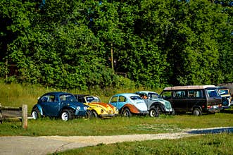 Retro Volkswagon Junkyard Cars Buses