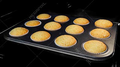 Timelapse - homemade cupcakes, muffins baking and rising in electric oven