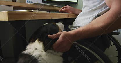 Happy caucasian disabled man in wheelchair using computer in bedroom with his pet dog