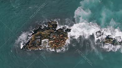 Bird eye view of flock of lying and resting sea lions, which occuping entire rocky breakwater. Wild animals sunbathing