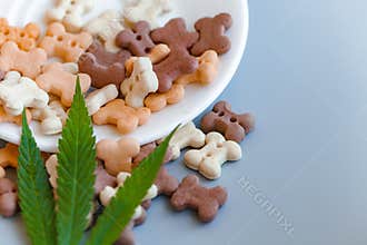 Pet food containing CBD cannabis, blue background, copy space for text. CBD and medical marijuana concept for pets