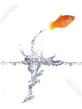Jumping goldfish