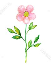 Watercolor flowers clipart
