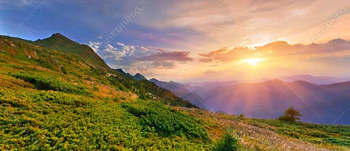 Summer landscape in the mountains