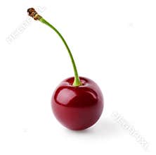 Single ripe cherry
