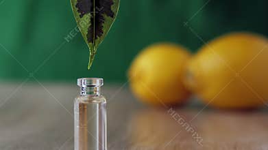 Close-up of a drop of liquid dripping from a green leaf into a glass vial.