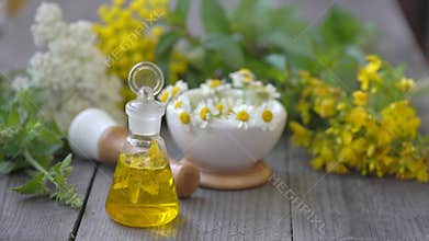 fresh healing medicinal herbs plants on wooden table