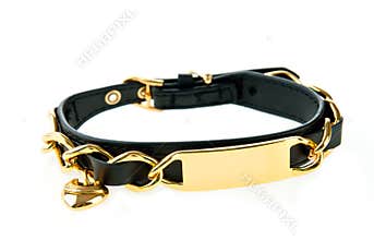 Luxury dog collar