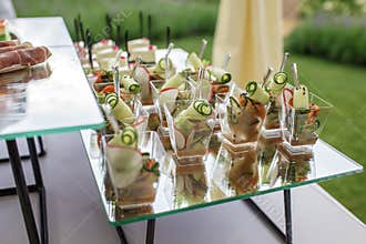 Backyard barbeque party at summer, elegant decoration, luxury catering, tasty and beautiful food