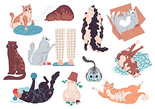 Set of cute and funny cats Vector illustration