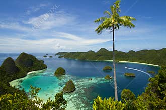 Wayag Hill Raja Ampat