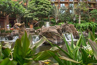 Water feature