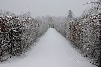 The passage through the castle bosquet along the natural park sidewalk on both sides is arched by hornbeams. French historic garde