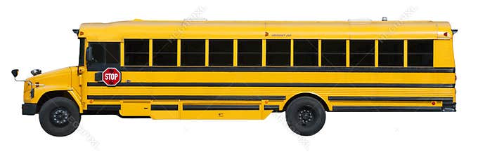 Typical Yellow School Bus Isolated on White