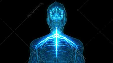 Human Brain with impulse Receiving