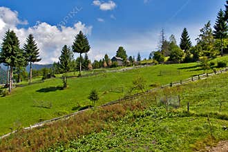 Countryside summer landscape