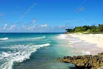 Tropical paradise