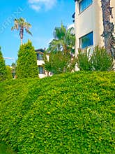 Belek, Antalya, Turkey - May 11, 2021: Bellis Deluxe Hotel in the summer morning