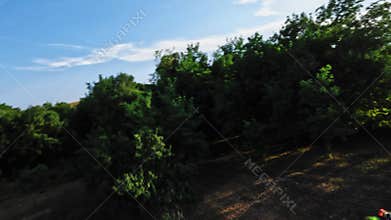 Following a self-assembled sports FPV drone in a green summer garden at sunset. Home spot training FPV quadcopter flight