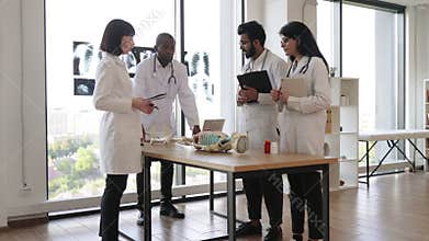 Human skeleton model on the table in classroom.