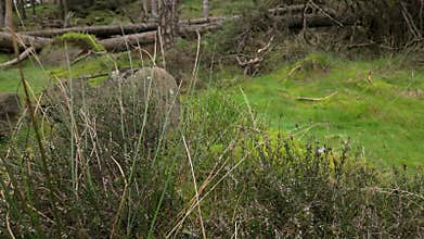 Destination scenics at The Roaches in the Peak District National Park