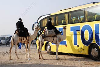 Modern and traditional transportation