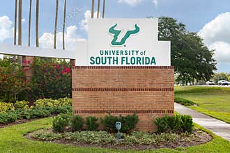 The University of South Florida in Tampa, FL
